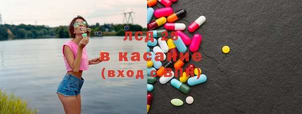 хмурый Магас