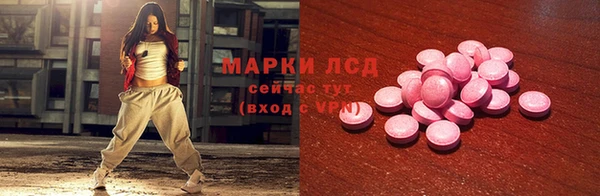 хмурый Магас